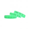 Glow in the Dark Wristband